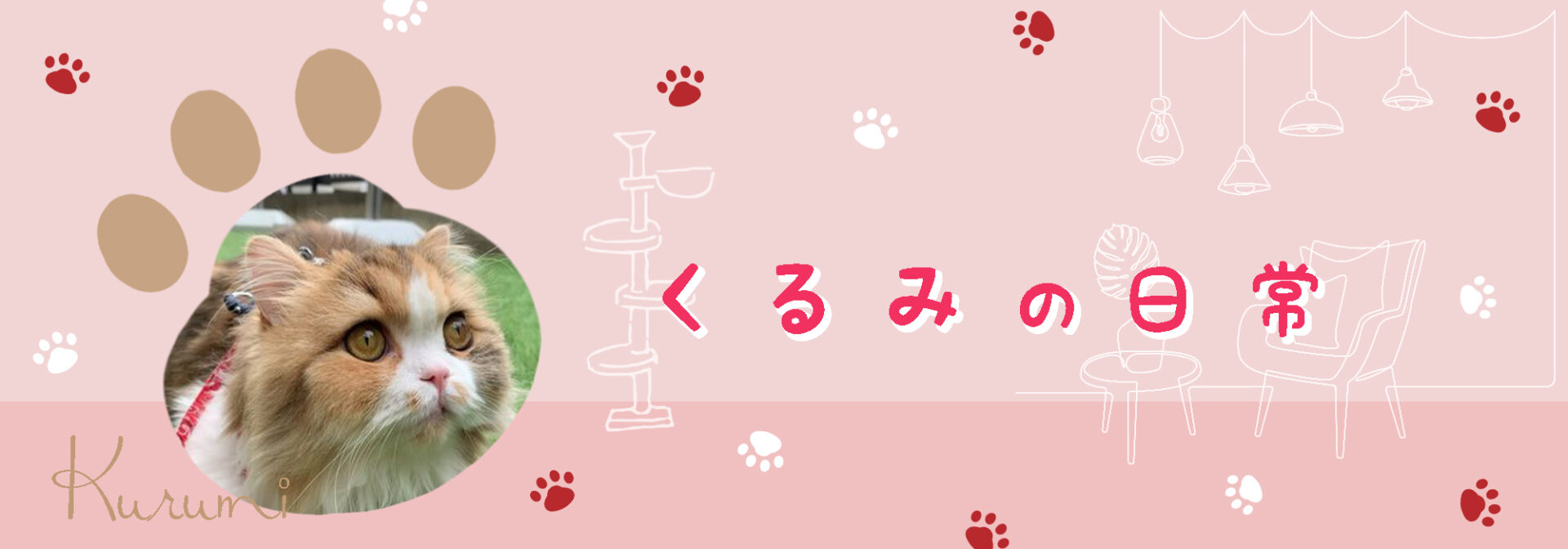 くるみの日常